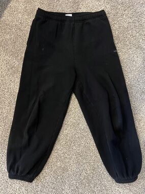 Aritzia Sweatfleece Pants